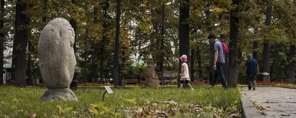 Поражение дубов минирующим пилильщиком в Бишкеке Поражение дубов минирующим пилильщиком в Бишкеке - Sputnik Кыргызстан