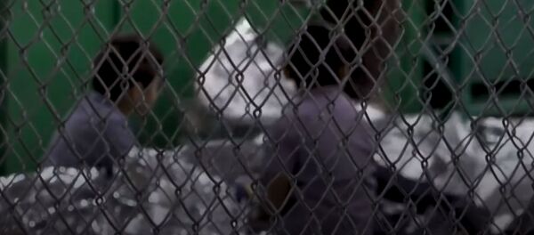 Капаста кармалган, ыйлаган бөбөктөр. АКШдагы мигранттардын балдары тартылган видео - Sputnik Кыргызстан