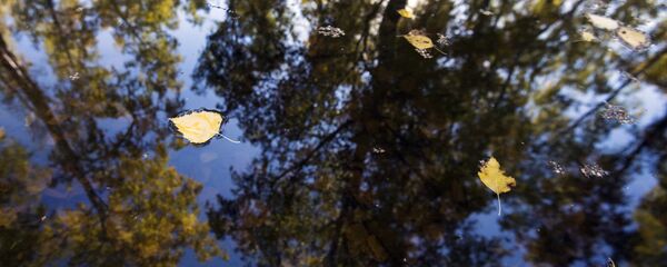 Лужа. Архивное фото - Sputnik Кыргызстан