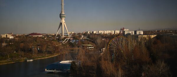 Вид на город Ташкент. Архивное фото - Sputnik Кыргызстан