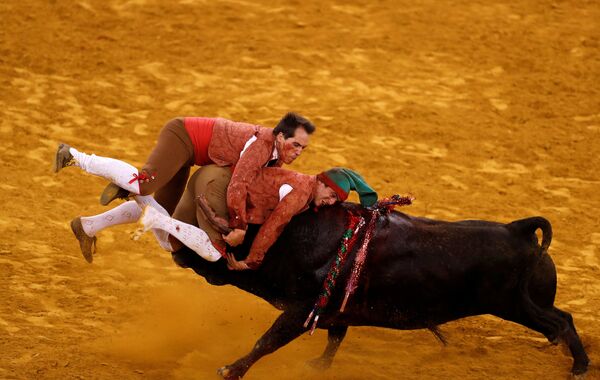 Бой с быком на арене Campo Pequeno в Лиссабоне - Sputnik Кыргызстан