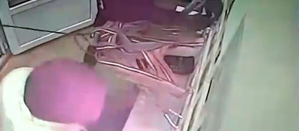Привязали к решетке трос и вырвали — видео дерзкого ограбления под Бишкеком - Sputnik Кыргызстан