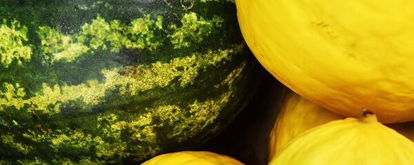 Арбуз и дыни. Архивное фото - Sputnik Кыргызстан