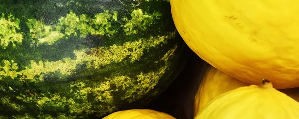 Арбуз и дыни. Архивное фото - Sputnik Кыргызстан