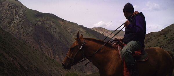 Талас облусундагы кайтарууга алынган корукта мылтыкчан киши фотокапканга түшүп калды - Sputnik Кыргызстан