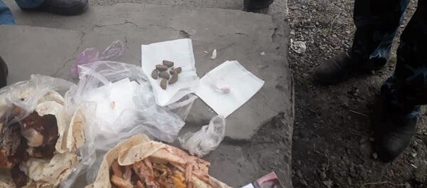 Попытка пронести наркотики в Сокулукский РОВД - Sputnik Кыргызстан