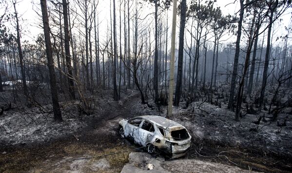 Лесные пожары во Флориде, США - Sputnik Кыргызстан