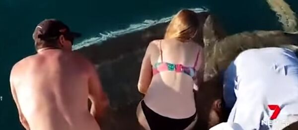 Едва не лишилась руки — акула чуть не утащила кормившую ее туристку. Видео. - Sputnik Кыргызстан