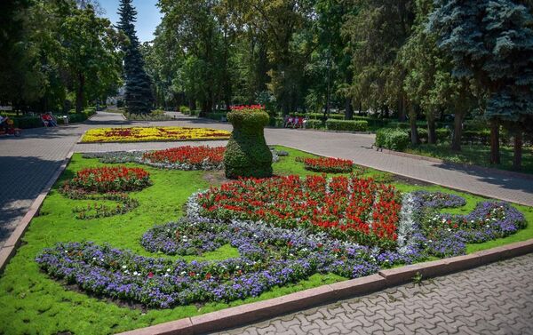 Здесь посадили более 30 тысяч цветов и установили восемь скамеек, благодаря чему этот зеленый уголок стал отличным местом для досуга - Sputnik Кыргызстан