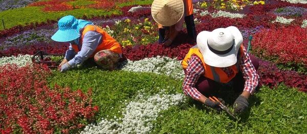 Деятельность МП Тазалык Деятельность МП Тазалык - Sputnik Кыргызстан