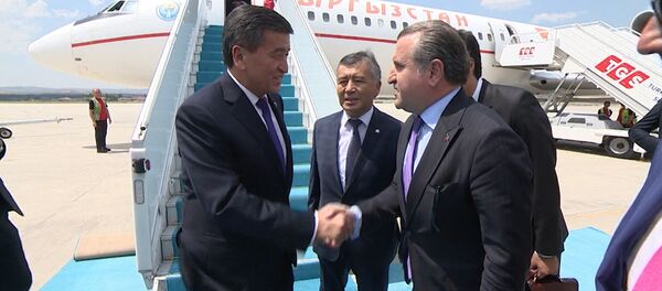 Анкарада Жээнбековду кантип тосуп алышты? Видео - Sputnik Кыргызстан