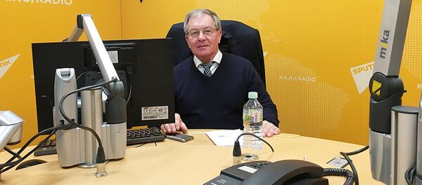 Руководитель аналитического центра Fundery Михаил Беляев - Sputnik Кыргызстан