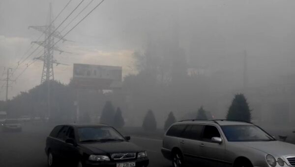 Сухотравье горит около заправки в районе ТЭЦ Бишкека — видео - Sputnik Кыргызстан
