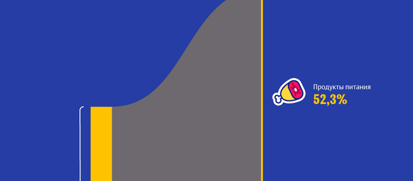 На что кыргызстанцы тратят свои деньги - Sputnik Кыргызстан