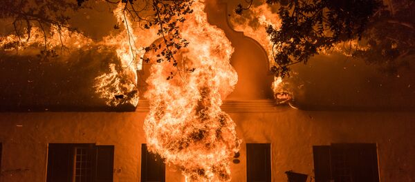 Онлайн-голосование лучшей фотоработы в рамках конкурса имени Стенина 2018 Онлайн-голосование лучшей фотоработы в рамках конкурса имени Стенина 2018 - Sputnik Кыргызстан