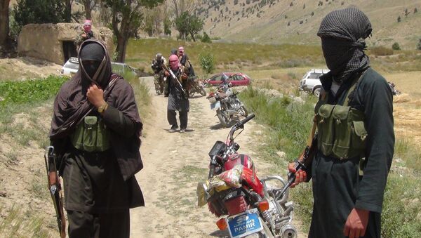 Афганистанда Талибан кыймылын мүчөлөрү. Архив - Sputnik Кыргызстан