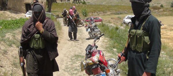 Члены радикального движения Талибан Афганистана Члены радикального движения Талибан Афганистана - Sputnik Кыргызстан