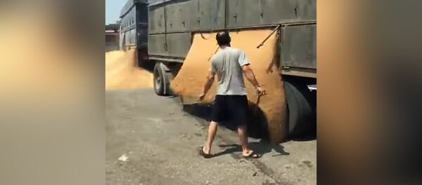 Буудай ташып бараткан айдоочунун полицияга ачуусу келген видеосу - Sputnik Кыргызстан