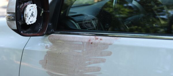 Убийство известного фигуриста Дениса Тена - Sputnik Кыргызстан