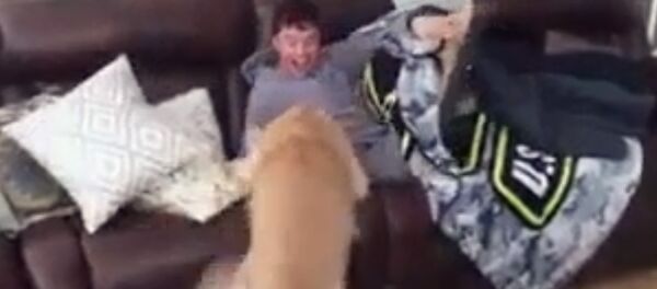 Это видео растрогает даже самых черствых: неожиданная встреча пса и хозяина - Sputnik Кыргызстан