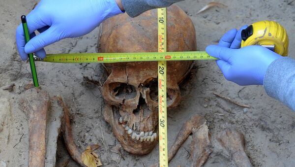 Археолог измеряет череп во время работ. Архивное фото - Sputnik Кыргызстан