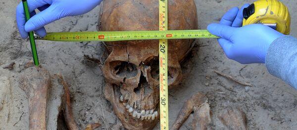 Археолог измеряет череп во время работ. Архивное фото - Sputnik Кыргызстан