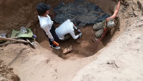 Обнаружение останков воина, предположительно, IV-V века до нашей эры в ущелье Кырчын - Sputnik Кыргызстан