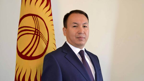 Заведующий отделом транспорта мэрии Бишкека Тилек Джеембаев - Sputnik Кыргызстан