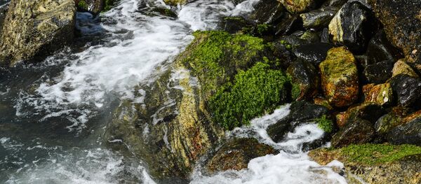 XXXI летние Олимпийские игры в Рио-де-Жанейро - Sputnik Кыргызстан