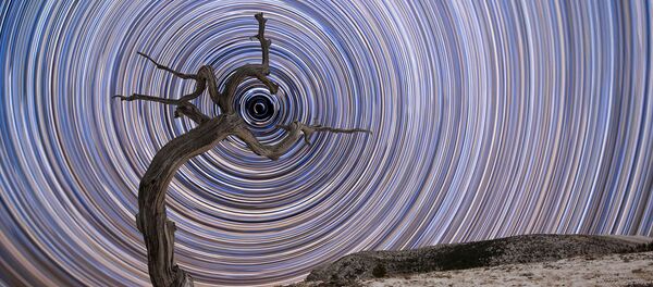 Шорт-лист фотоконкурса Insight Astronomy Photographer of the Year 2018 - Sputnik Кыргызстан