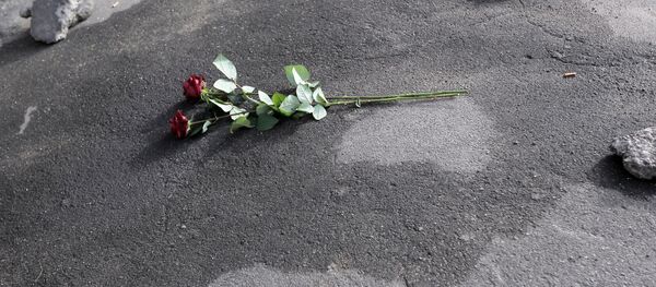 Үйдүн подъездинин алдында жаткан гүлдөр. Архив - Sputnik Кыргызстан