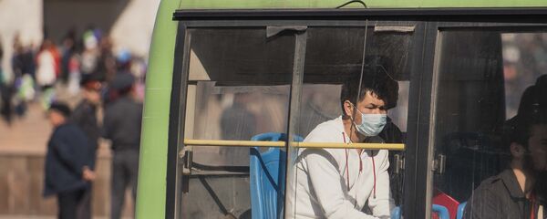 Жара в Бишкеке - Sputnik Кыргызстан