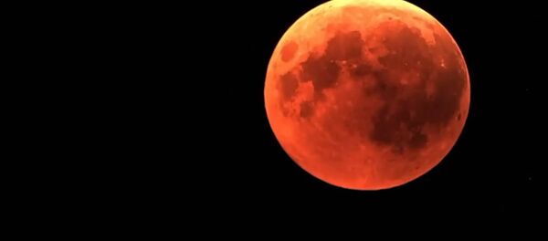 Эми бир укмуш, түндө көрбөдүм деп арманда калбаңыз! Айдын тутулган видеосу - Sputnik Кыргызстан