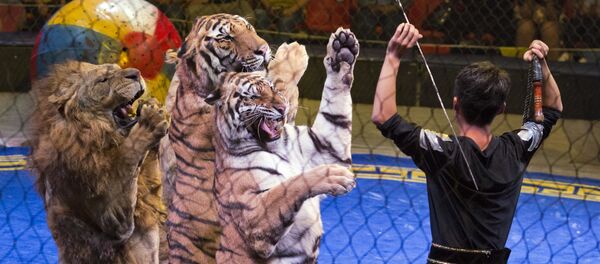 Празднование Национального дня в Пекине - Sputnik Кыргызстан