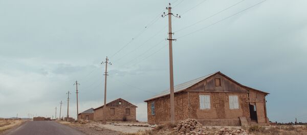 Лонгрид: Тамак-ашты коңшу өлкөдөн сатып алам. Акаев негиздеген айылдын азыркы абалы - Sputnik Кыргызстан