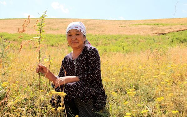 На помощь пришли больше 100 местных жителей, саженцы высадили на 21 гектаре земли. - Sputnik Кыргызстан