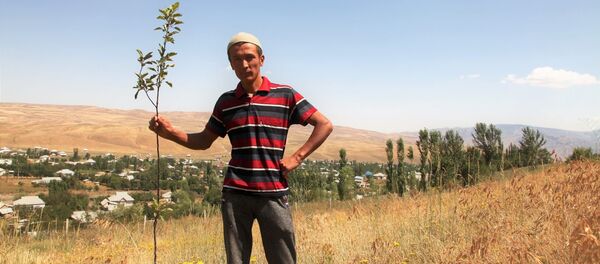 Посадка деревьев в селах Ошской области, где существует риск схода оползней - Sputnik Кыргызстан