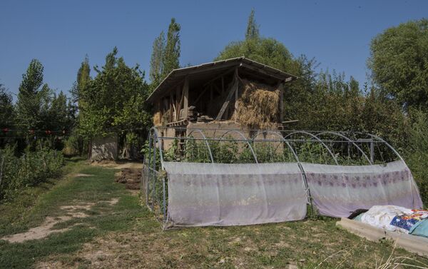 Малоимущие семьи Сузакского района Джалал-Абадской области обеспечены теплицами и обучены эффективным методам выращивания овощей в рамках проекта, профинансированного Россией - Sputnik Кыргызстан
