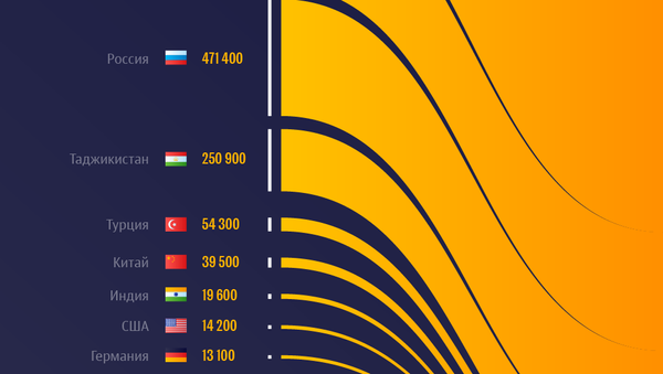 Рейтинг стран, откуда приезжают в Кыргызстан - Sputnik Кыргызстан