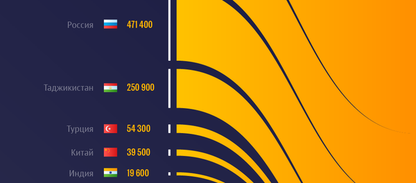 Рейтинг стран, откуда приезжают в Кыргызстан - Sputnik Кыргызстан