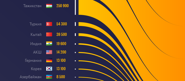 Эли Кыргызстанга көп келген өлкөлөрдүн рейтинги - Sputnik Кыргызстан