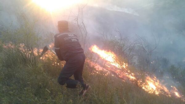 Пожар на приграничной с Казахстаном горе Алмалуу в Таласской области - Sputnik Кыргызстан