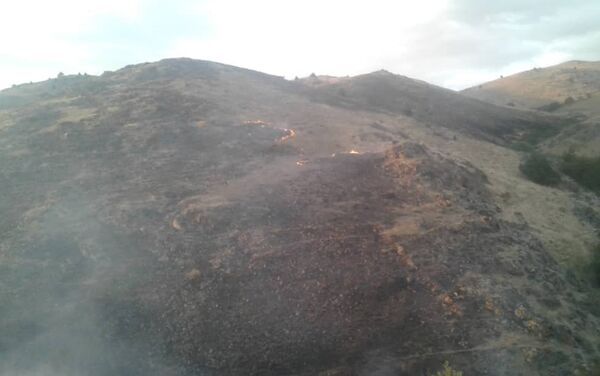 Пожар на горе Алмалуу в Таласской области перекинулся на близлежащие леса - Sputnik Кыргызстан