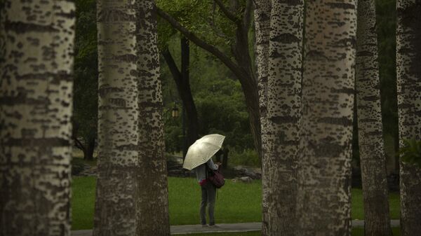 Девушка с зонтом в парке. Архивное фото - Sputnik Кыргызстан