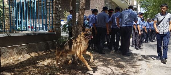 Жарылуу болгон жердеги милиция кызматкерлери - Sputnik Кыргызстан