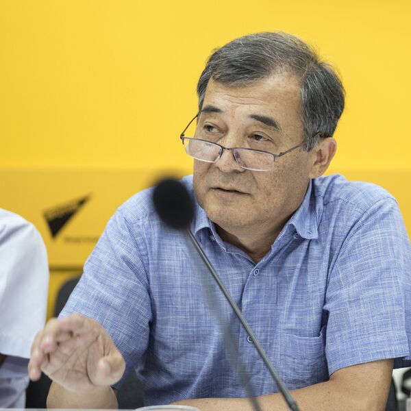 Президент ассоциации страховщиков Сабырбек Молдокулов Президент ассоциации страховщиков Сабырбек Молдокулов - Sputnik Кыргызстан