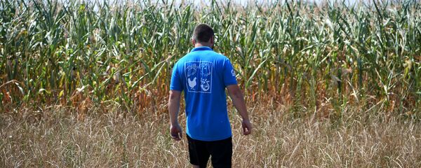 Засуха в Франции Засуха в Франции - Sputnik Кыргызстан