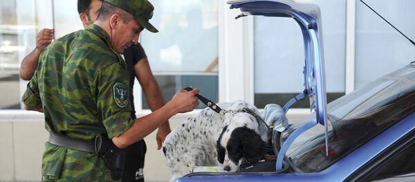 Проверка машин пограничником. Архивное фото - Sputnik Кыргызстан