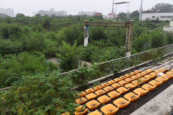 Пекинде 2008-жылы курулган олимпиадалык жай. Отургучтарды да чөп басып кетиптир. Бирок сыры өчпөптүр - Sputnik Кыргызстан