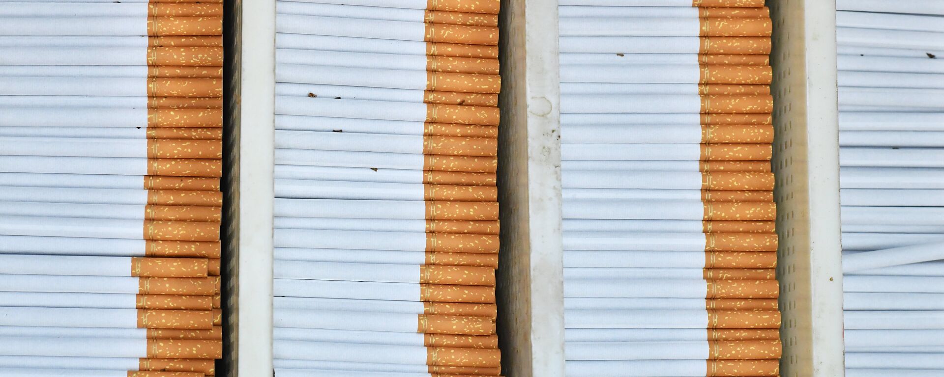 Тамеки өңдүрүшү. Архив - Sputnik Кыргызстан, 1920, 11.08.2025